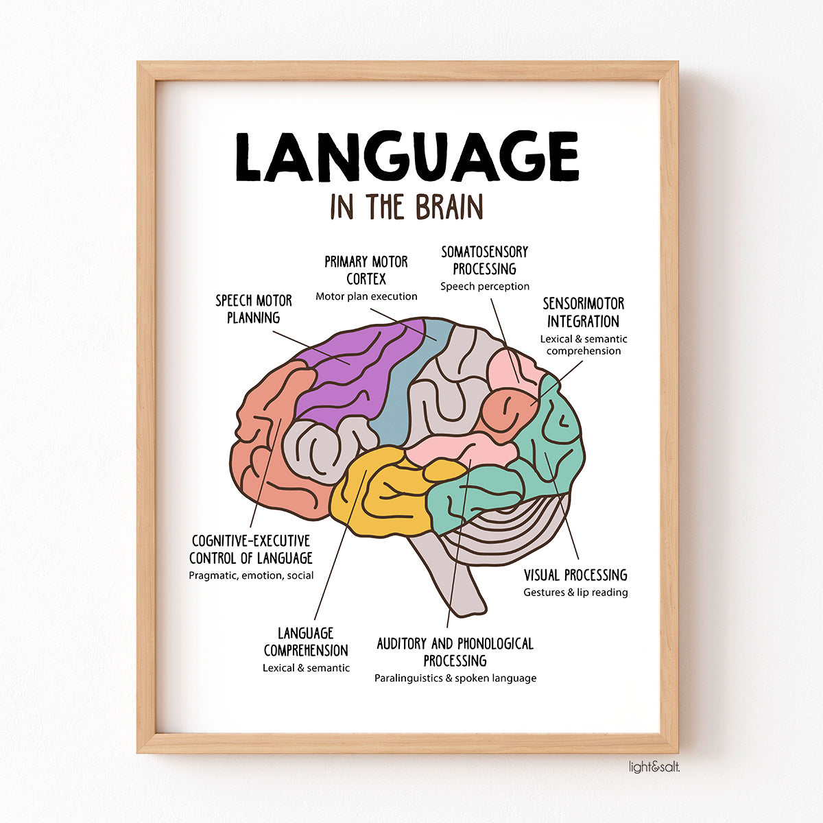Language in the brain, speech therapy room poster