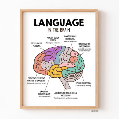 Language in the brain, speech therapy room poster