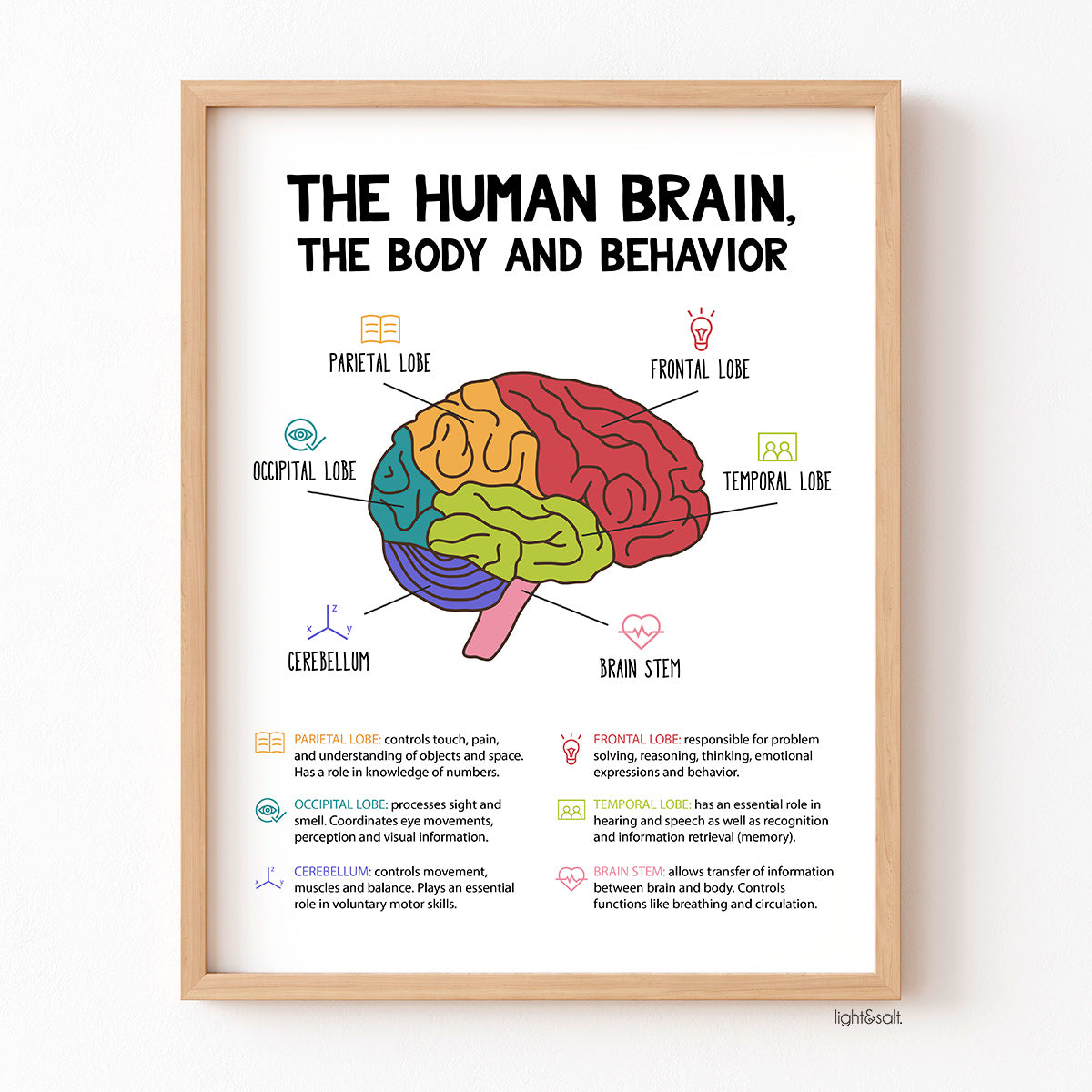 The Human Brain, the body and behavior poster – LightandSaltDesign