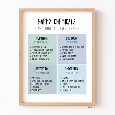 Happy chemicals and how to hack them poster, happiness chemicals