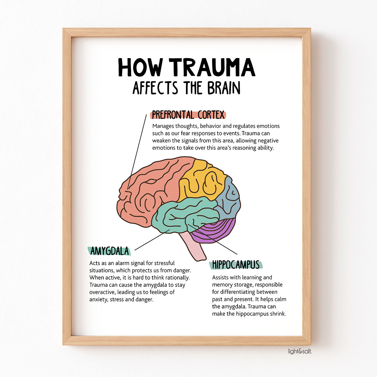 How trauma affects the brain poster