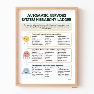 Automatic Nervous system, Polyvagal ladder poster