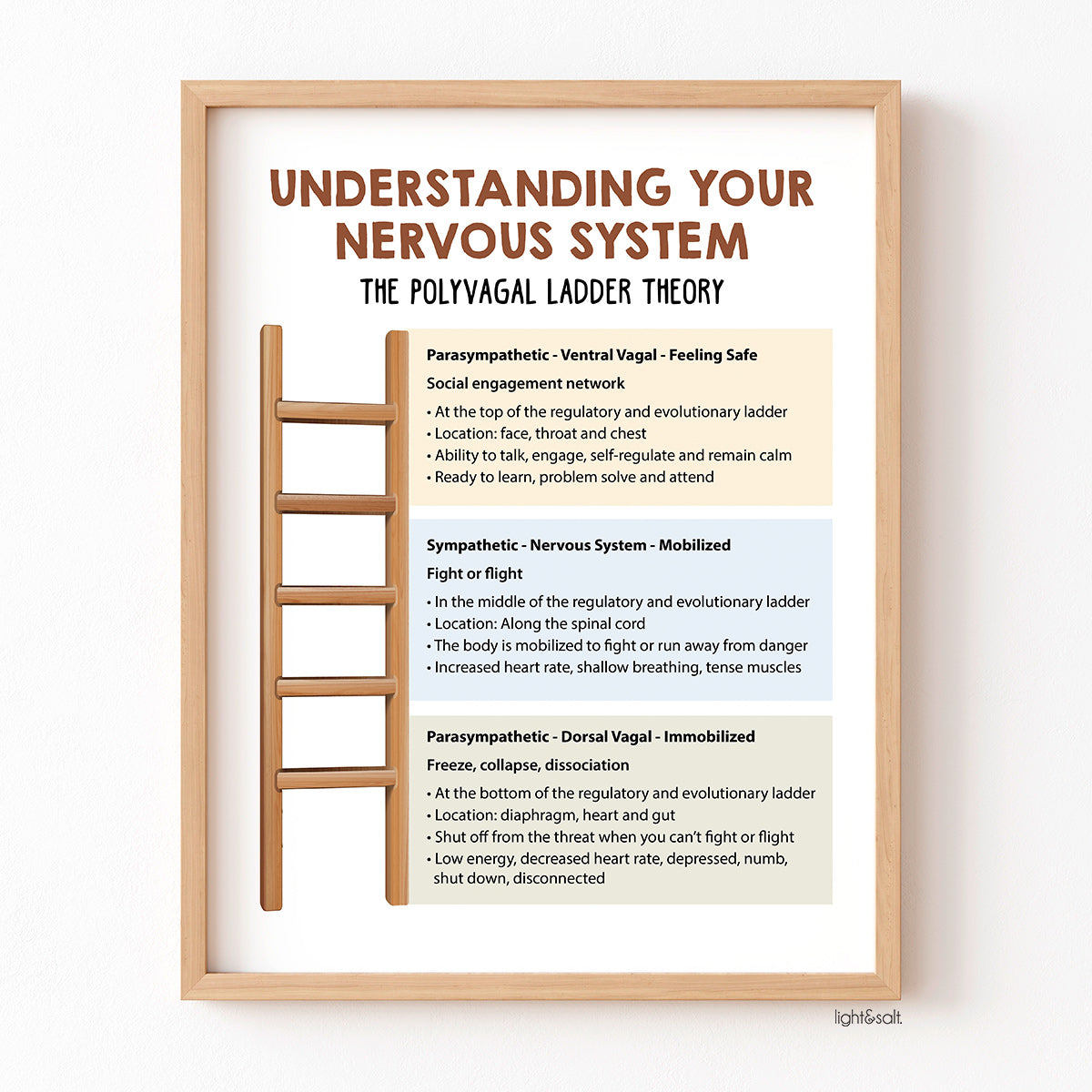 Nervous system states, Polyvagal ladder poster