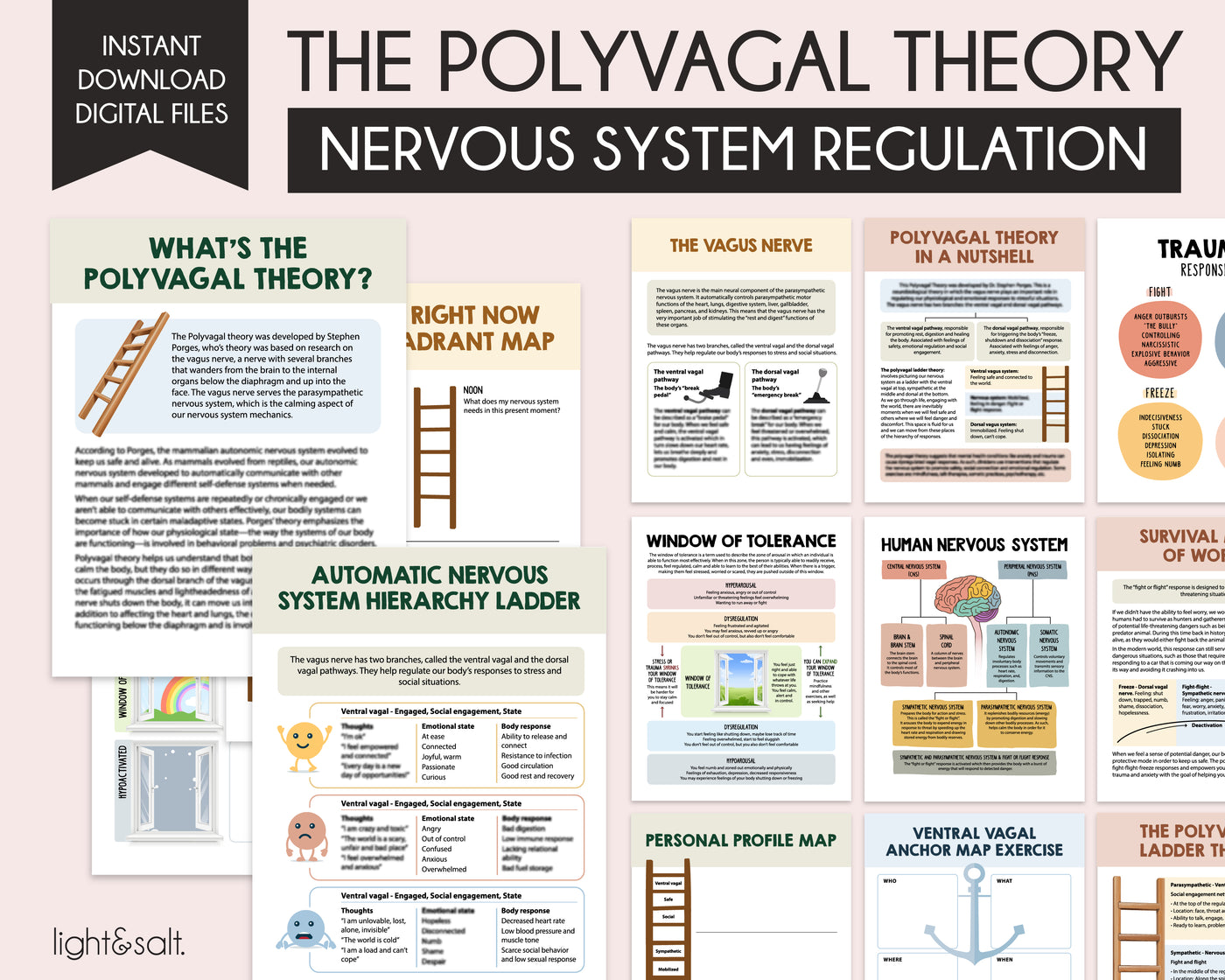 The polyvagal theory workbook, Polyvagal ladder – LightandSaltDesign