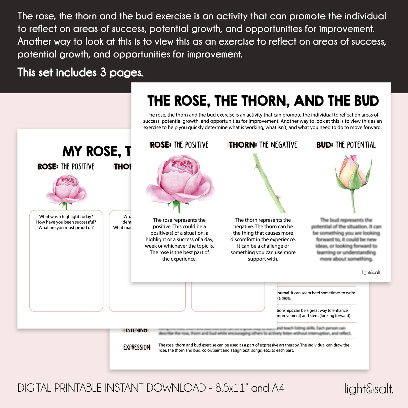 Rose, Thorn and Bud Exercise, Communication Skills Check-In Tool