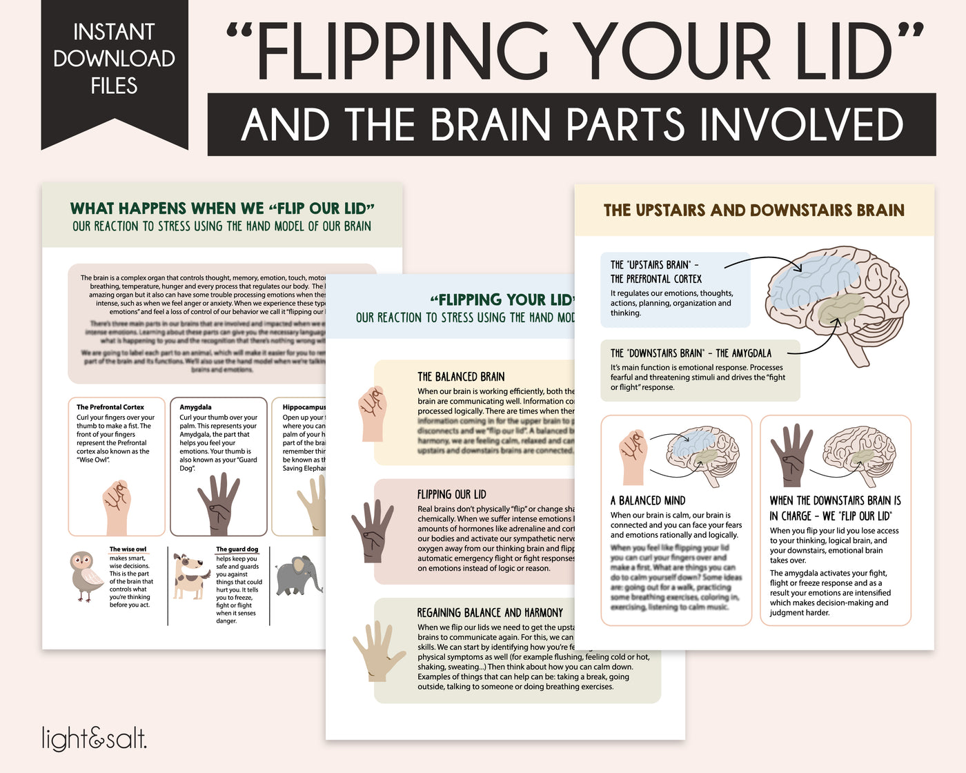 Understanding your Brain when you flip your lid Infographics, Brain and Neuroscience Therapy
