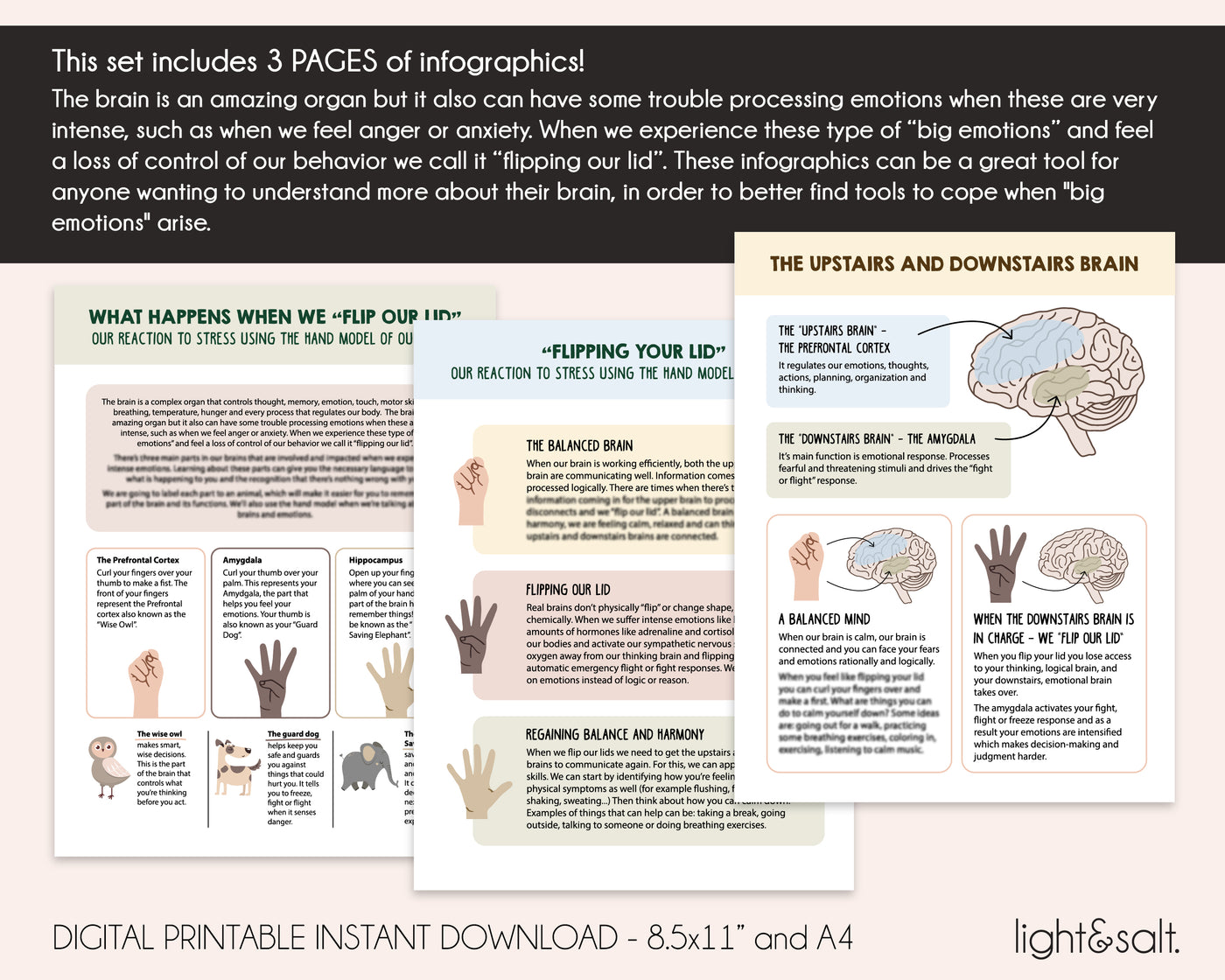 Understanding your Brain when you flip your lid Infographics, Brain and Neuroscience Therapy