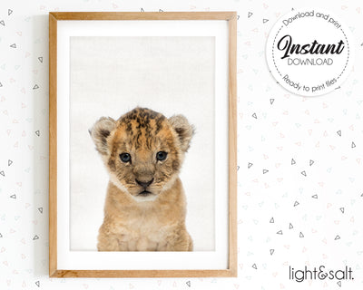 Baby Lion nursery print