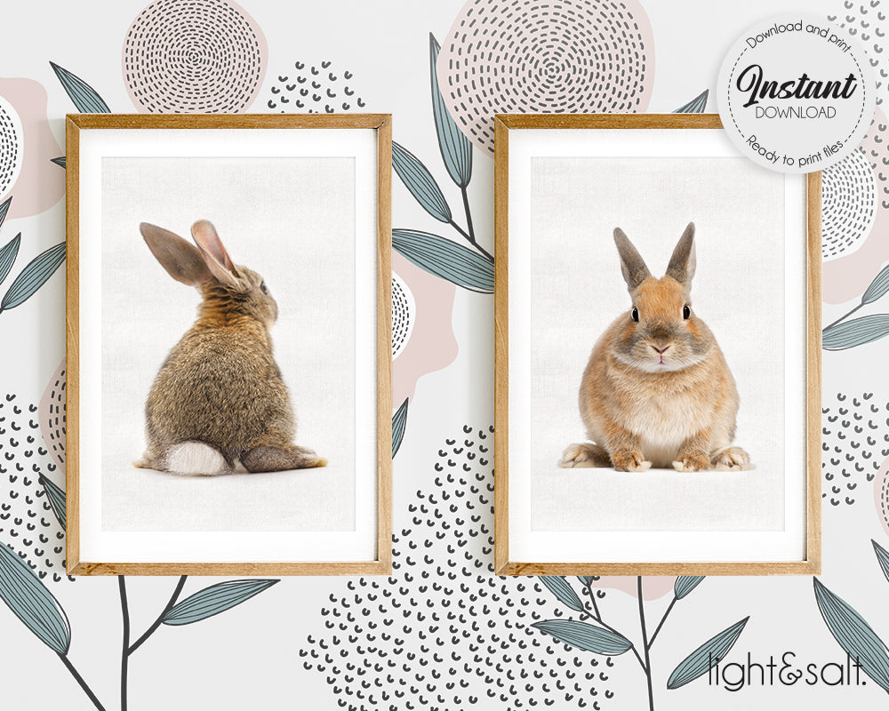 Bunny rabbit gallery wall set of 2 posters